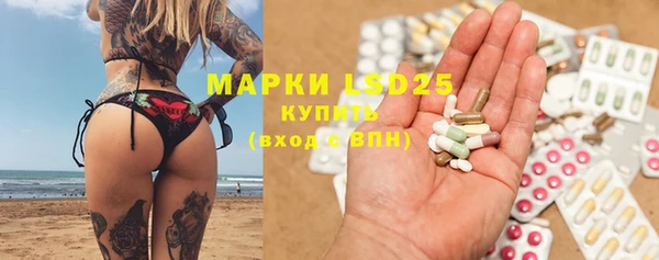 кокс Елизово