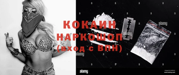 бошки Ельня