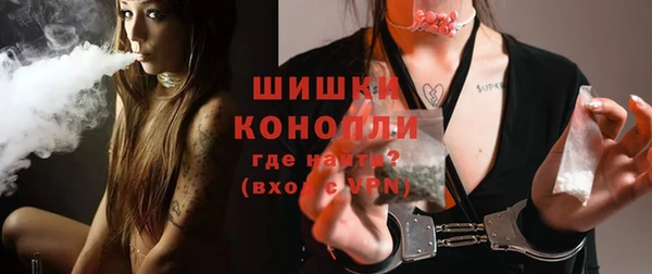 кокс Елизово