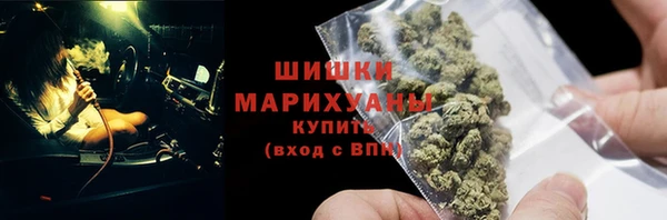 бошки Ельня