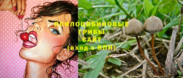 бошки Ельня