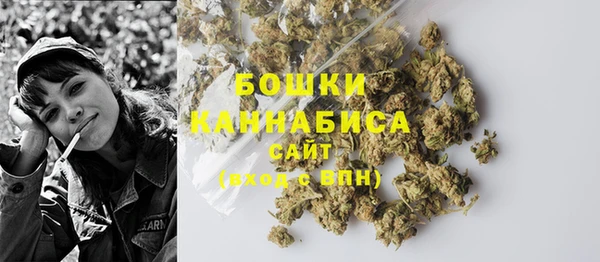 бошки Ельня