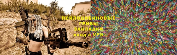 бошки Ельня