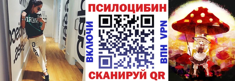 Псилоцибиновые грибы мицелий  Зубцов 